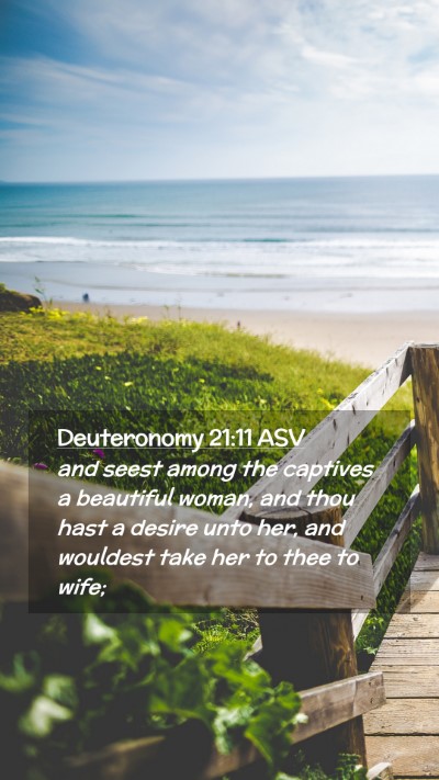 Picture 02 - Deuteronomy 21:11 ASV Mobile Phone Wallpaper - and seest among the captives a beautiful woman, - Mobile Bible Verse Wallpaper