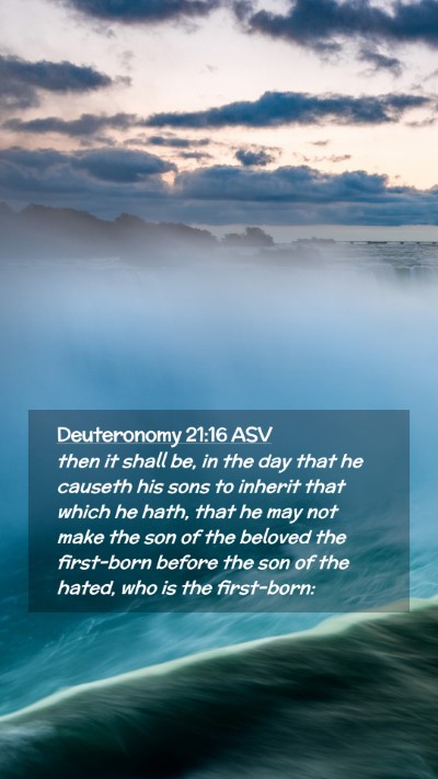 Picture 02 - Deuteronomy 21:16 ASV Mobile Phone Wallpaper - then it shall be, in the day that he causeth his - Mobile Bible Verse Wallpaper