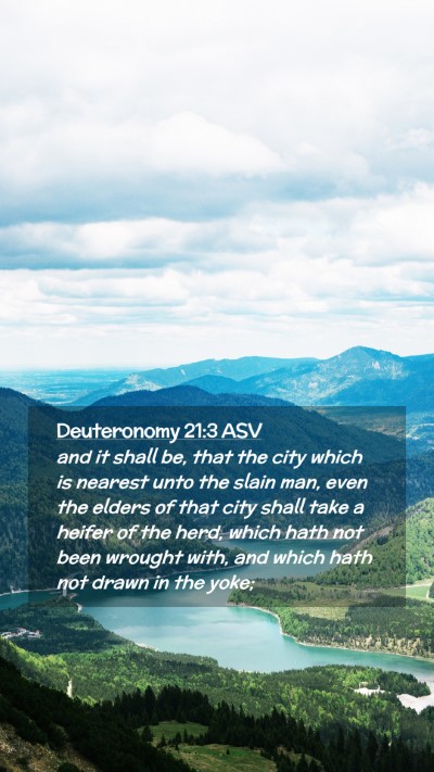 Picture 02 - Deuteronomy 21:3 ASV Mobile Phone Wallpaper - and it shall be, that the city which is nearest - Mobile Bible Verse Wallpaper