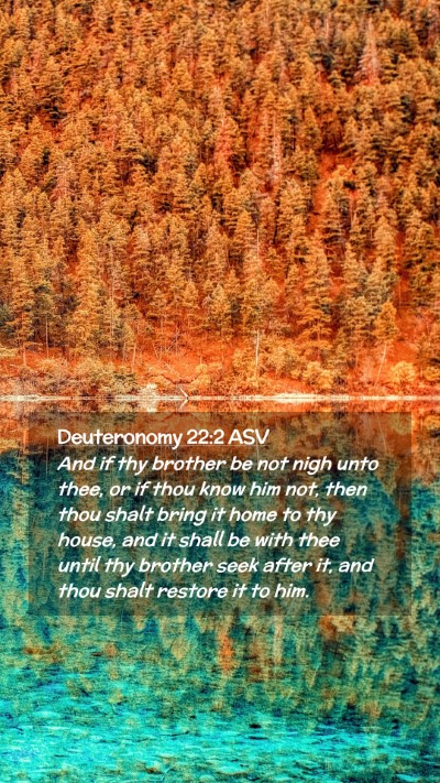 Picture 02 - Deuteronomy 22:2 ASV Mobile Phone Wallpaper - And if thy brother be not nigh unto thee, or if - Mobile Bible Verse Wallpaper
