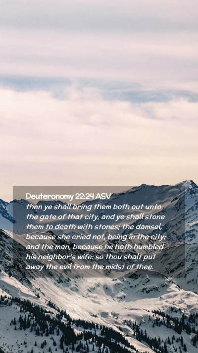 Picture 02 - Deuteronomy 22:24 ASV Mobile Phone Wallpaper - then ye shall bring them both out unto the gate - Mobile Bible Verse Wallpaper