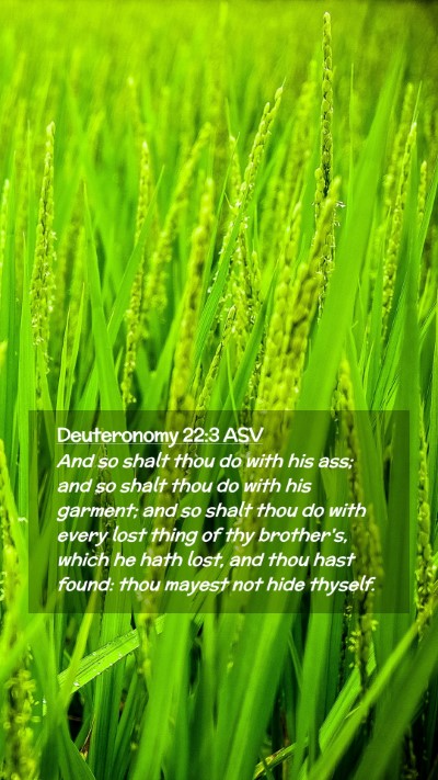 Picture 02 - Deuteronomy 22:3 ASV Mobile Phone Wallpaper - And so shalt thou do with his ass; and so shalt - Mobile Bible Verse Wallpaper