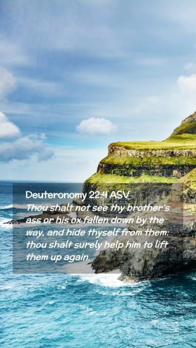 Picture 02 - Deuteronomy 22:4 ASV Mobile Phone Wallpaper - Thou shalt not see thy brother's ass or his ox - Mobile Bible Verse Wallpaper