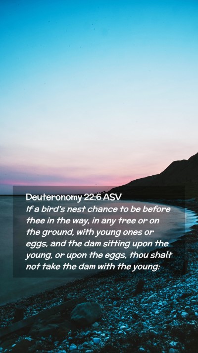 Picture 02 - Deuteronomy 22:6 ASV Mobile Phone Wallpaper - If a bird's nest chance to be before thee in the - Mobile Bible Verse Wallpaper