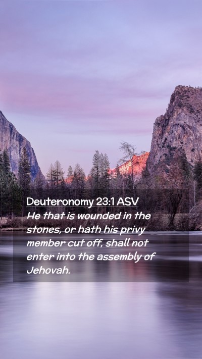 Picture 02 - Deuteronomy 23:1 ASV Mobile Phone Wallpaper - He that is wounded in the stones, or hath his - Mobile Bible Verse Wallpaper