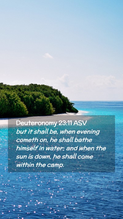 Picture 02 - Deuteronomy 23:11 ASV Mobile Phone Wallpaper - but it shall be, when evening cometh on, he shall - Mobile Bible Verse Wallpaper