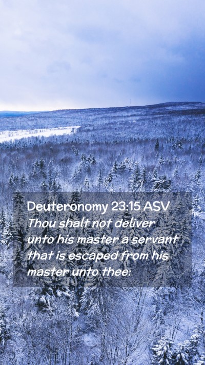 Picture 02 - Deuteronomy 23:15 ASV Mobile Phone Wallpaper - Thou shalt not deliver unto his master a servant - Mobile Bible Verse Wallpaper