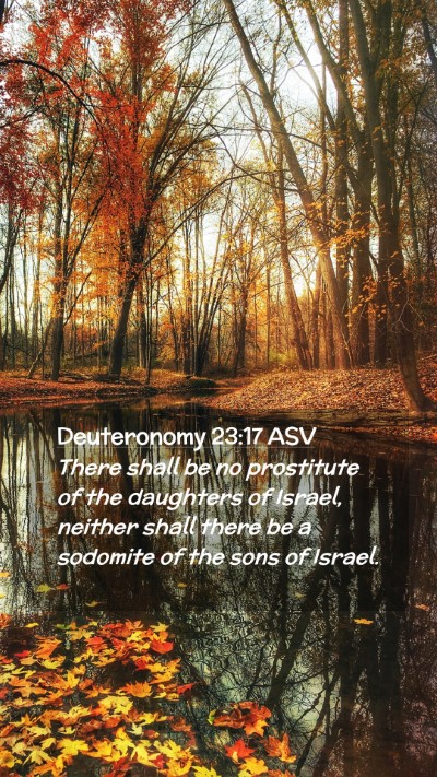 Picture 02 - Deuteronomy 23:17 ASV Mobile Phone Wallpaper - There shall be no prostitute of the daughters of - Mobile Bible Verse Wallpaper
