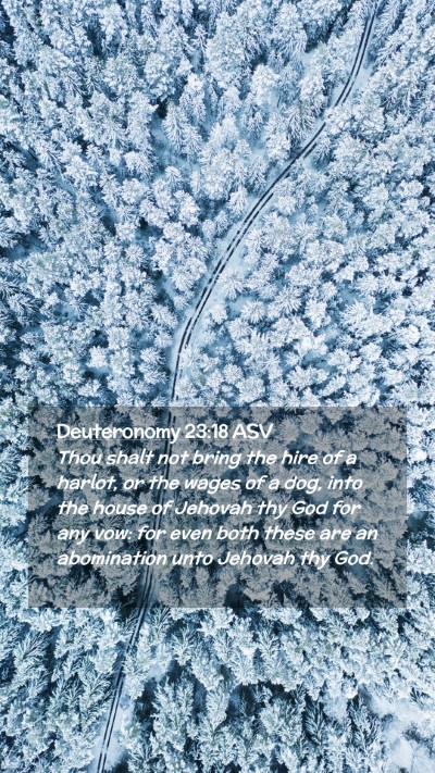 Picture 02 - Deuteronomy 23:18 ASV Mobile Phone Wallpaper - Thou shalt not bring the hire of a harlot, or the - Mobile Bible Verse Wallpaper