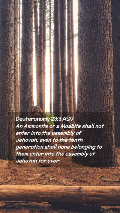 Picture 02 - Deuteronomy 23:3 ASV Mobile Phone Wallpaper - An Ammonite or a Moabite shall not enter into the - Mobile Bible Verse Wallpaper