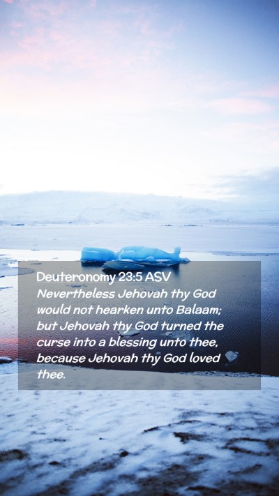 Picture 02 - Deuteronomy 23:5 ASV Mobile Phone Wallpaper - Nevertheless Jehovah thy God would not hearken - Mobile Bible Verse Wallpaper