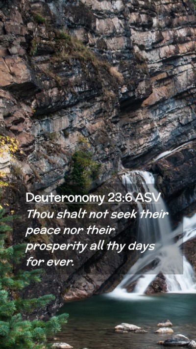 Picture 02 - Deuteronomy 23:6 ASV Mobile Phone Wallpaper - Thou shalt not seek their peace nor their - Mobile Bible Verse Wallpaper