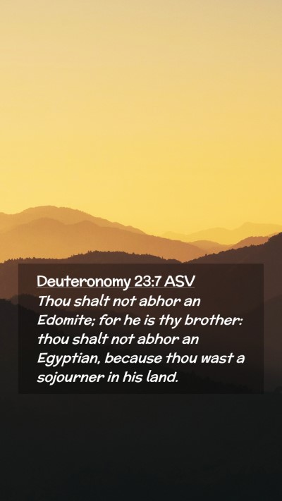 Picture 02 - Deuteronomy 23:7 ASV Mobile Phone Wallpaper - Thou shalt not abhor an Edomite; for he is thy - Mobile Bible Verse Wallpaper