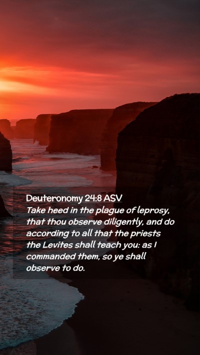 Picture 02 - Deuteronomy 24:8 ASV Mobile Phone Wallpaper - Take heed in the plague of leprosy, that thou - Mobile Bible Verse Wallpaper