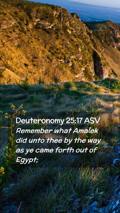 Picture 02 - Deuteronomy 25:17 ASV Mobile Phone Wallpaper - Remember what Amalek did unto thee by the way as - Mobile Bible Verse Wallpaper