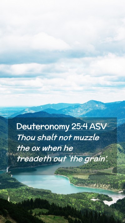 Picture 02 - Deuteronomy 25:4 ASV Mobile Phone Wallpaper - Thou shalt not muzzle the ox when he treadeth out - Mobile Bible Verse Wallpaper