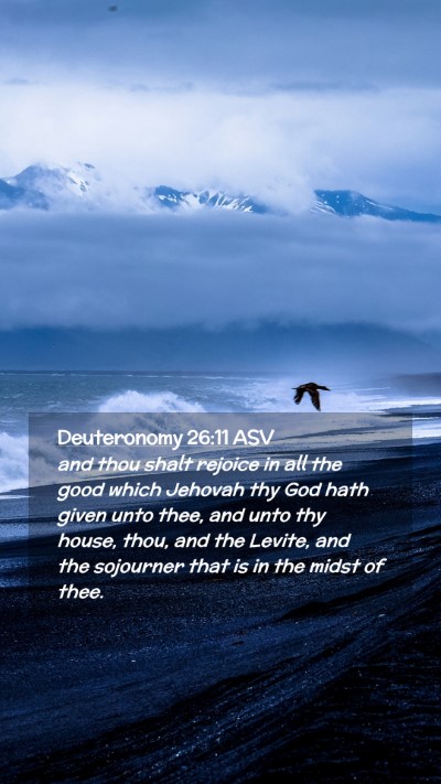 Picture 02 - Deuteronomy 26:11 ASV Mobile Phone Wallpaper - and thou shalt rejoice in all the good which - Mobile Bible Verse Wallpaper