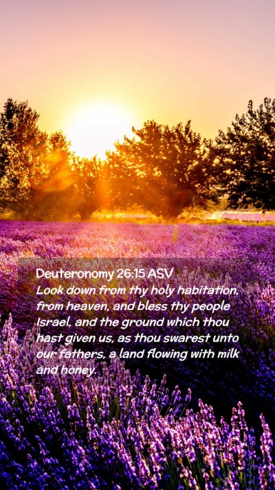 Picture 02 - Deuteronomy 26:15 ASV Mobile Phone Wallpaper - Look down from thy holy habitation, from heaven, - Mobile Bible Verse Wallpaper