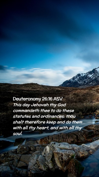 Picture 02 - Deuteronomy 26:16 ASV Mobile Phone Wallpaper - This day Jehovah thy God commandeth thee to do - Mobile Bible Verse Wallpaper