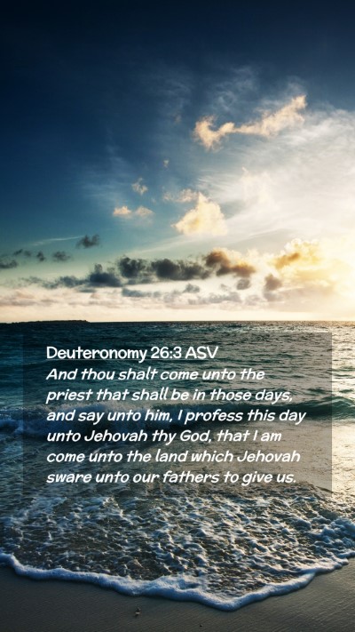 Picture 02 - Deuteronomy 26:3 ASV Mobile Phone Wallpaper - And thou shalt come unto the priest that shall be - Mobile Bible Verse Wallpaper