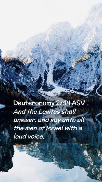 Picture 02 - Deuteronomy 27:14 ASV Mobile Phone Wallpaper - And the Levites shall answer, and say unto all - Mobile Bible Verse Wallpaper