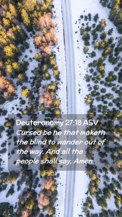 Picture 02 - Deuteronomy 27:18 ASV Mobile Phone Wallpaper - Cursed be he that maketh the blind to wander out - Mobile Bible Verse Wallpaper
