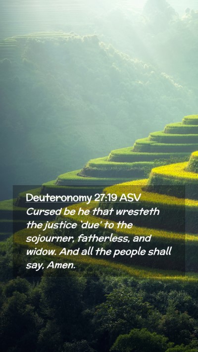 Picture 02 - Deuteronomy 27:19 ASV Mobile Phone Wallpaper - Cursed be he that wresteth the justice `due' to - Mobile Bible Verse Wallpaper