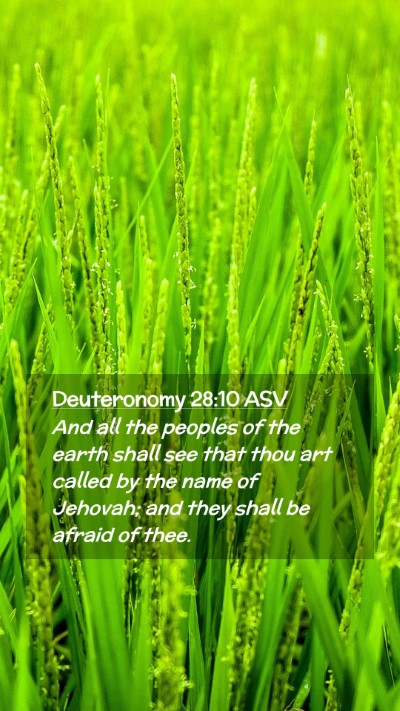 Picture 02 - Deuteronomy 28:10 ASV Mobile Phone Wallpaper - And all the peoples of the earth shall see that - Mobile Bible Verse Wallpaper