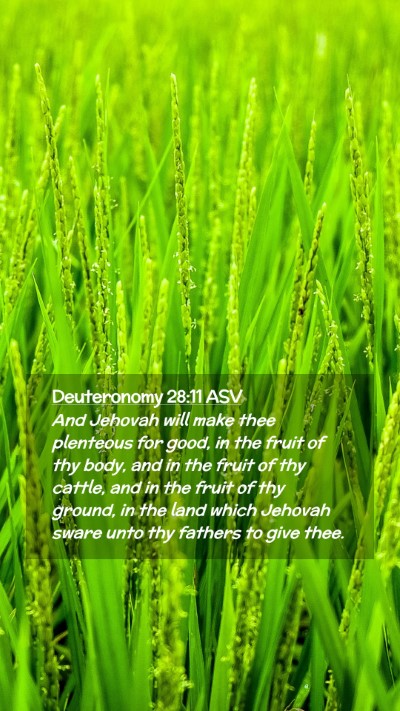 Picture 02 - Deuteronomy 28:11 ASV Mobile Phone Wallpaper - And Jehovah will make thee plenteous for good, in - Mobile Bible Verse Wallpaper