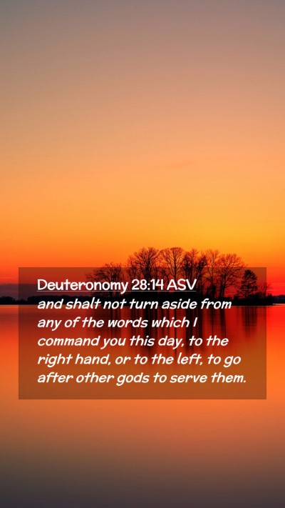 Picture 02 - Deuteronomy 28:14 ASV Mobile Phone Wallpaper - and shalt not turn aside from any of the words - Mobile Bible Verse Wallpaper