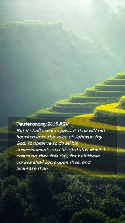 Picture 02 - Deuteronomy 28:15 ASV Mobile Phone Wallpaper - But it shall come to pass, if thou wilt not - Mobile Bible Verse Wallpaper