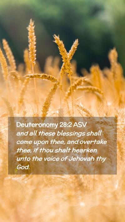 Picture 02 - Deuteronomy 28:2 ASV Mobile Phone Wallpaper - and all these blessings shall come upon thee, and - Mobile Bible Verse Wallpaper