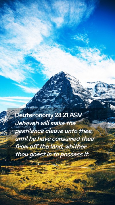 Picture 02 - Deuteronomy 28:21 ASV Mobile Phone Wallpaper - Jehovah will make the pestilence cleave unto - Mobile Bible Verse Wallpaper