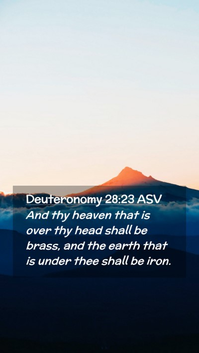 Picture 02 - Deuteronomy 28:23 ASV Mobile Phone Wallpaper - And thy heaven that is over thy head shall be - Mobile Bible Verse Wallpaper