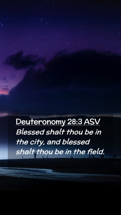 Picture 02 - Deuteronomy 28:3 ASV Mobile Phone Wallpaper - Blessed shalt thou be in the city, and blessed - Mobile Bible Verse Wallpaper