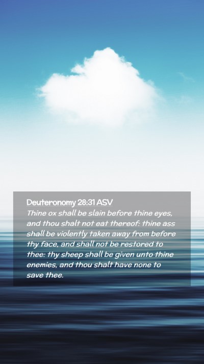 Picture 02 - Deuteronomy 28:31 ASV Mobile Phone Wallpaper - Thine ox shall be slain before thine eyes, and - Mobile Bible Verse Wallpaper