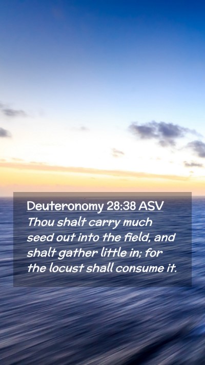 Picture 02 - Deuteronomy 28:38 ASV Mobile Phone Wallpaper - Thou shalt carry much seed out into the field, - Mobile Bible Verse Wallpaper