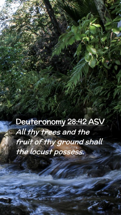 Picture 02 - Deuteronomy 28:42 ASV Mobile Phone Wallpaper - All thy trees and the fruit of thy ground shall - Mobile Bible Verse Wallpaper