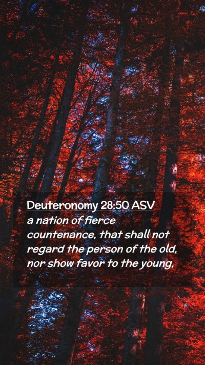 Picture 02 - Deuteronomy 28:50 ASV Mobile Phone Wallpaper - a nation of fierce countenance, that shall not - Mobile Bible Verse Wallpaper