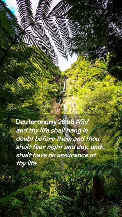 Picture 02 - Deuteronomy 28:66 ASV Mobile Phone Wallpaper - and thy life shall hang in doubt before thee; and - Mobile Bible Verse Wallpaper