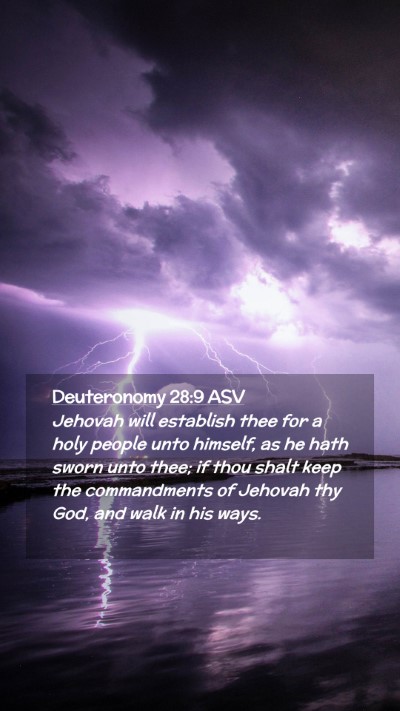 Picture 02 - Deuteronomy 28:9 ASV Mobile Phone Wallpaper - Jehovah will establish thee for a holy people - Mobile Bible Verse Wallpaper