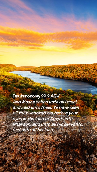Picture 02 - Deuteronomy 29:2 ASV Mobile Phone Wallpaper - And Moses called unto all Israel, and said unto - Mobile Bible Verse Wallpaper