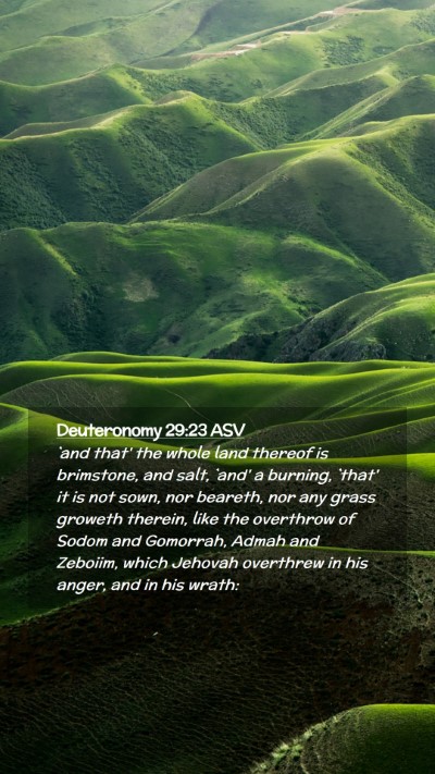 Picture 02 - Deuteronomy 29:23 ASV Mobile Phone Wallpaper - `and that' the whole land thereof is brimstone, - Mobile Bible Verse Wallpaper