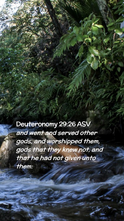 Picture 02 - Deuteronomy 29:26 ASV Mobile Phone Wallpaper - and went and served other gods, and worshipped - Mobile Bible Verse Wallpaper