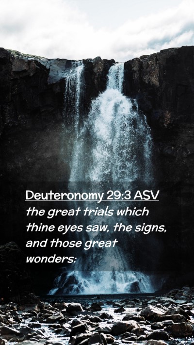 Picture 02 - Deuteronomy 29:3 ASV Mobile Phone Wallpaper - the great trials which thine eyes saw, the signs, - Mobile Bible Verse Wallpaper