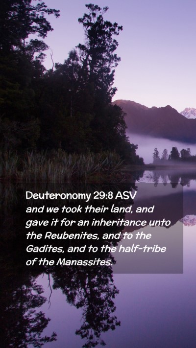 Picture 02 - Deuteronomy 29:8 ASV Mobile Phone Wallpaper - and we took their land, and gave it for an - Mobile Bible Verse Wallpaper