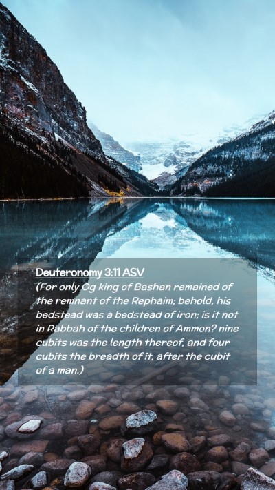 Picture 02 - Deuteronomy 3:11 ASV Mobile Phone Wallpaper - (For only Og king of Bashan remained of the - Mobile Bible Verse Wallpaper