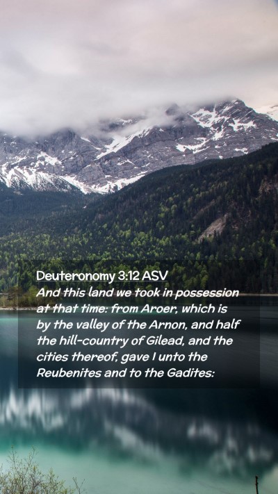 Picture 02 - Deuteronomy 3:12 ASV Mobile Phone Wallpaper - And this land we took in possession at that time: - Mobile Bible Verse Wallpaper