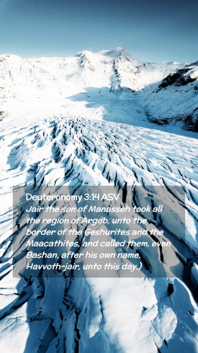 Picture 02 - Deuteronomy 3:14 ASV Mobile Phone Wallpaper - Jair the son of Manasseh took all the region of - Mobile Bible Verse Wallpaper