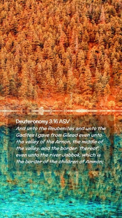 Picture 02 - Deuteronomy 3:16 ASV Mobile Phone Wallpaper - And unto the Reubenites and unto the Gadites I - Mobile Bible Verse Wallpaper